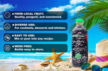 Load image into Gallery viewer, BLACKBERRY Puree Mix - 1 Lt