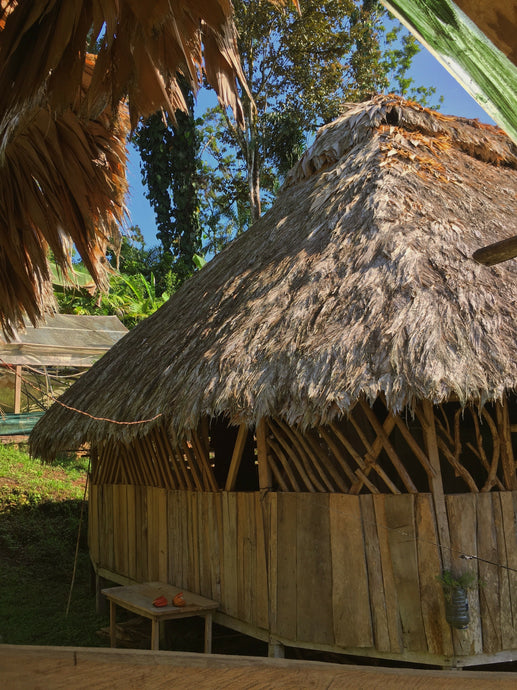 Honoring Nature: The BriBri of Costa Rica