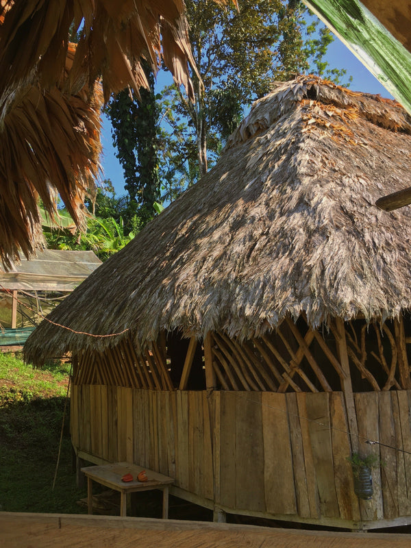 Honoring Nature: The BriBri of Costa Rica